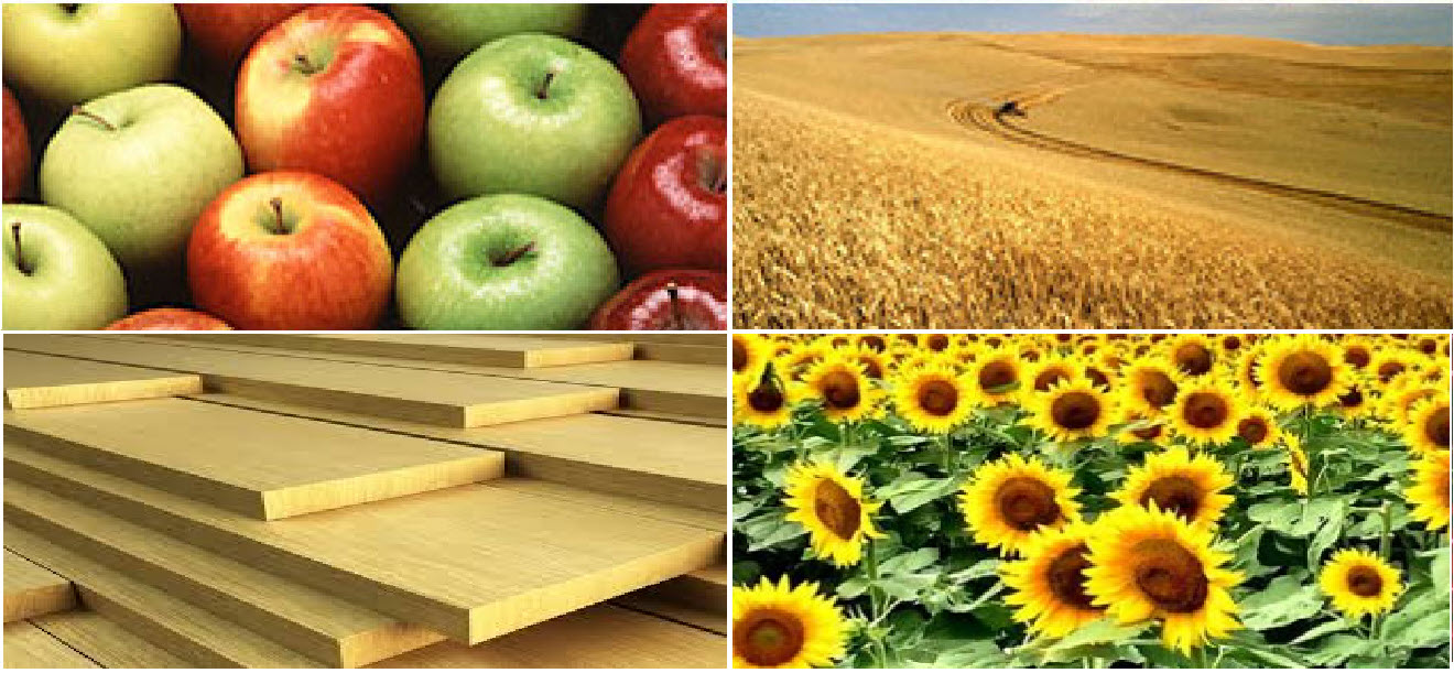 Pictures of apples, wheat field, wood boards, and sunflowers.